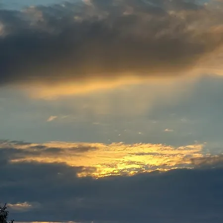 Finja Apartment Dreschvitz